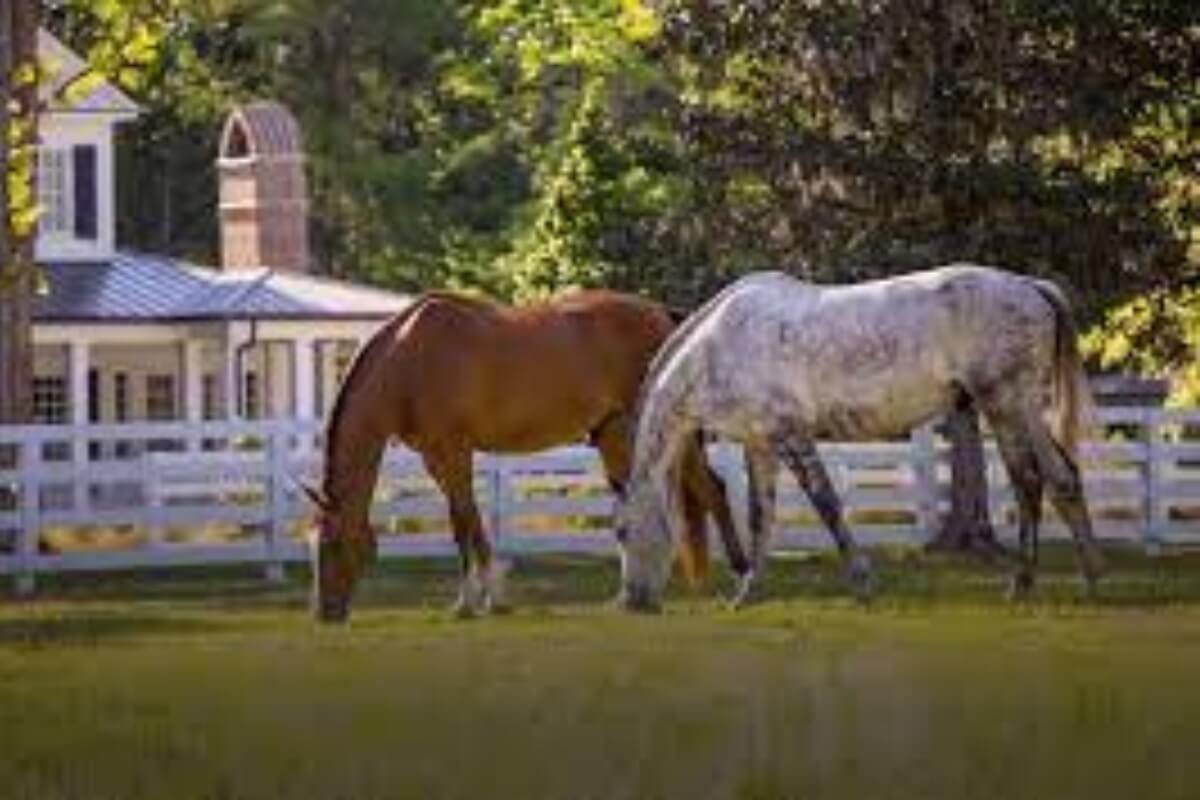 The Ford Field and River Club People First Real Estate LLC